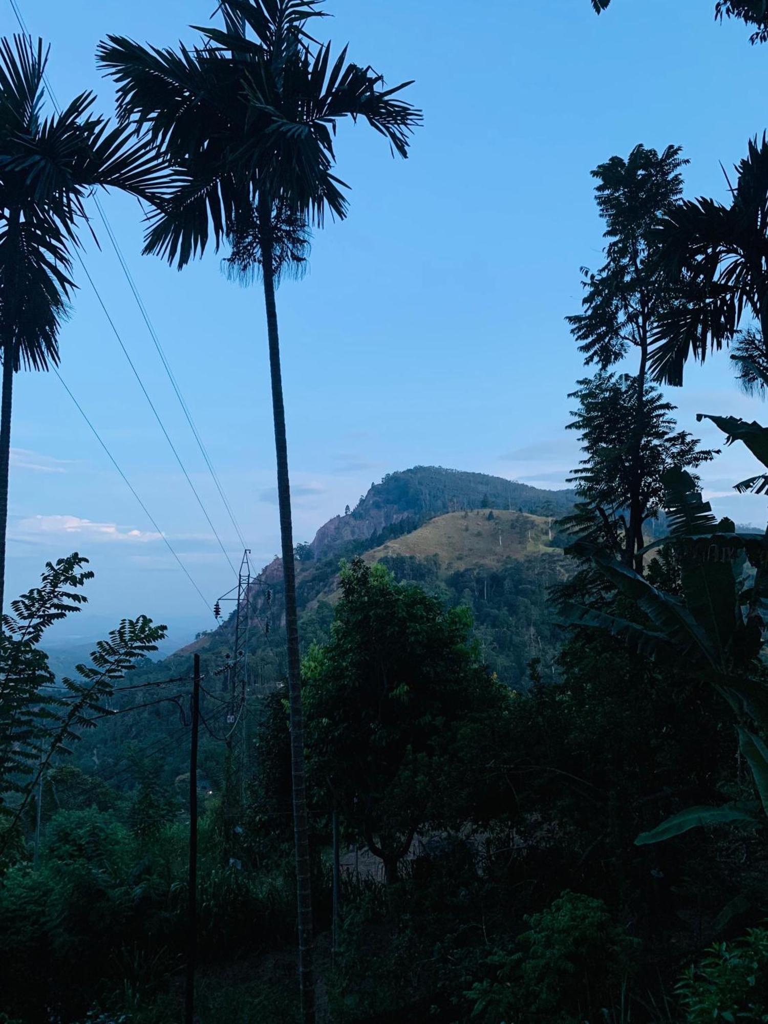 Meditation Monastery Stay 埃拉 外观 照片